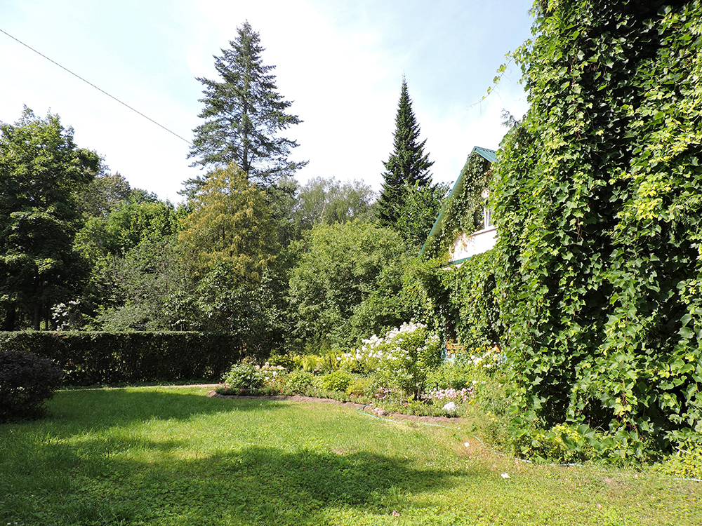 DSCN5117.JPG