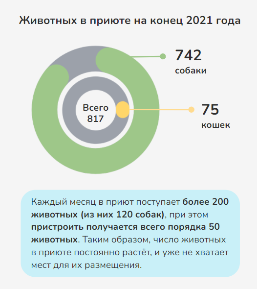 приют-мд-статистика.png