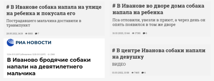 бездомные-собаки-иваново.png