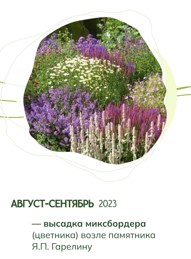 этап 2.jpg