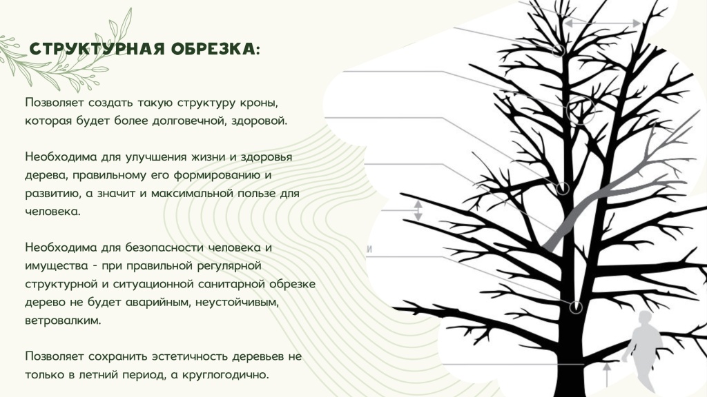 Снимок 23.06.2025 в&nbsp;13.28.jpg