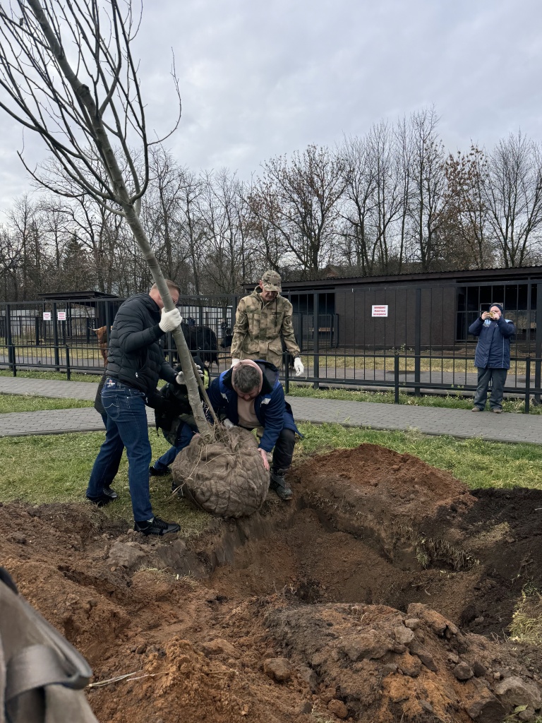 IMG_0480.JPG