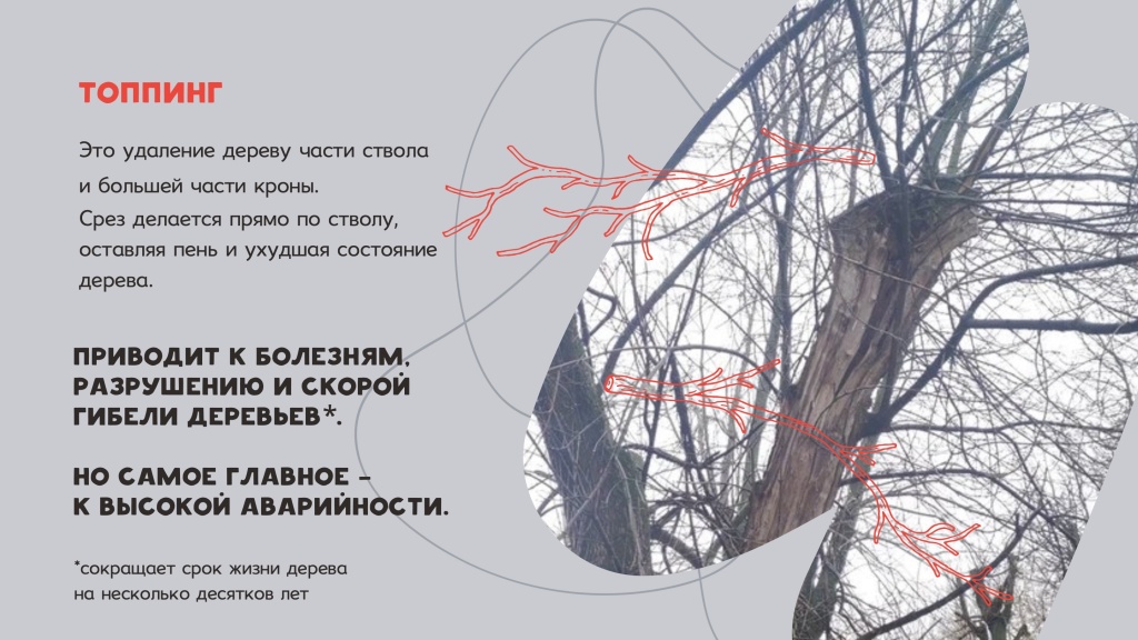 Снимок 23.06.2025 в&nbsp;13.28 (1).jpg