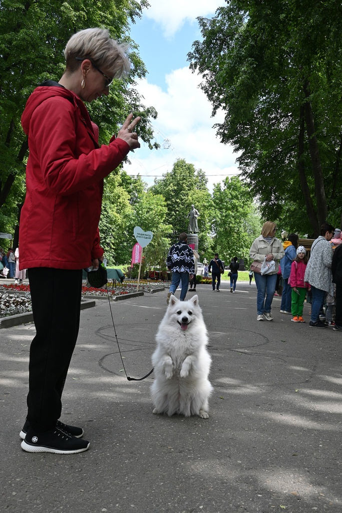 ивафест (60).jpg