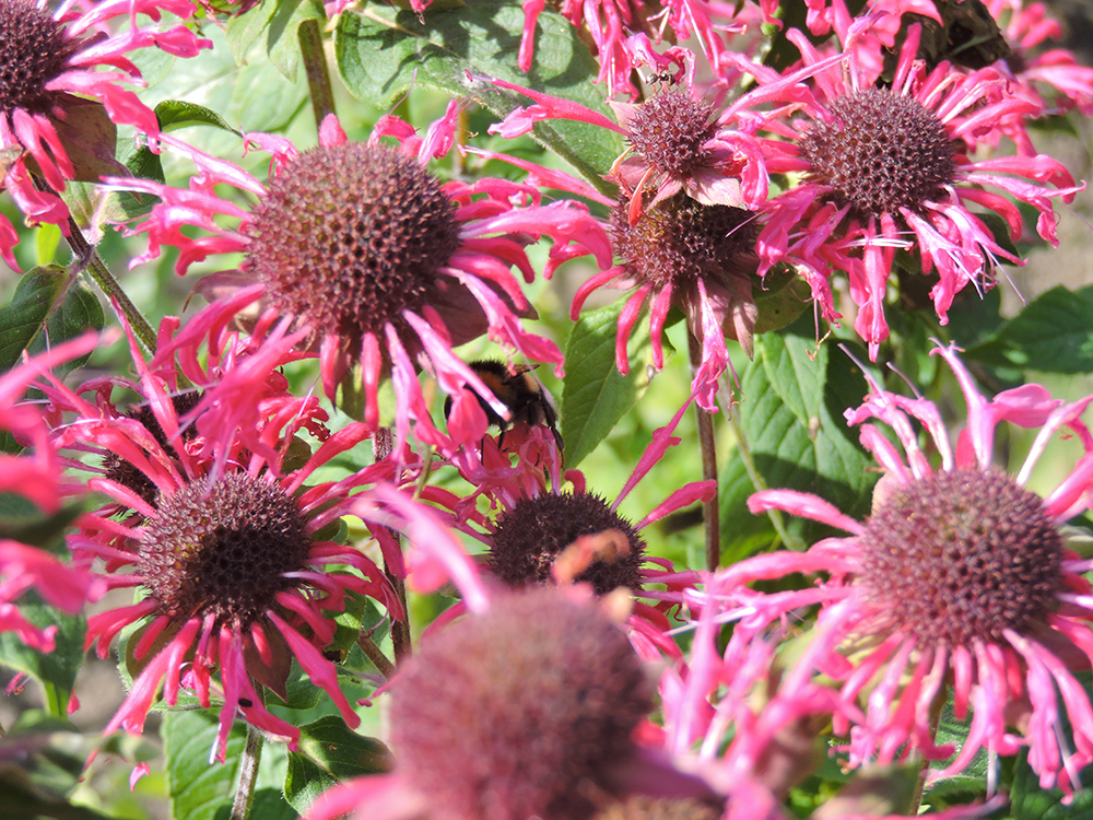 DSCN5105.JPG